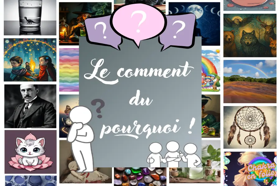 Le comment du pourquoi , blog , chakraenfolie.com