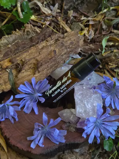 Allergie saisonierelafermettedu4