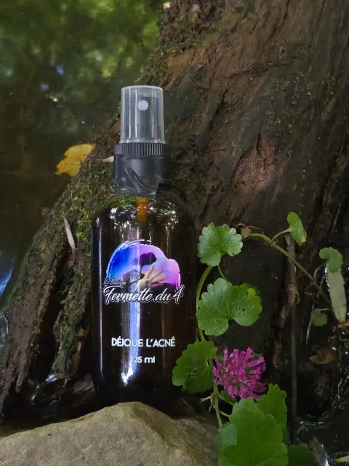 Dejoue lacne lafermettedu4