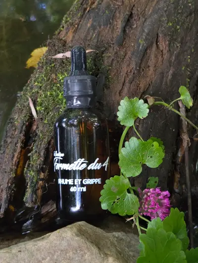 Rhum et grippe lafermettedu4